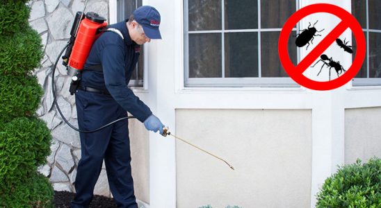 Borçka Böcek İlaçlama böcek ilaçlama ve haşere kontrolü — ilaclama-tr.com